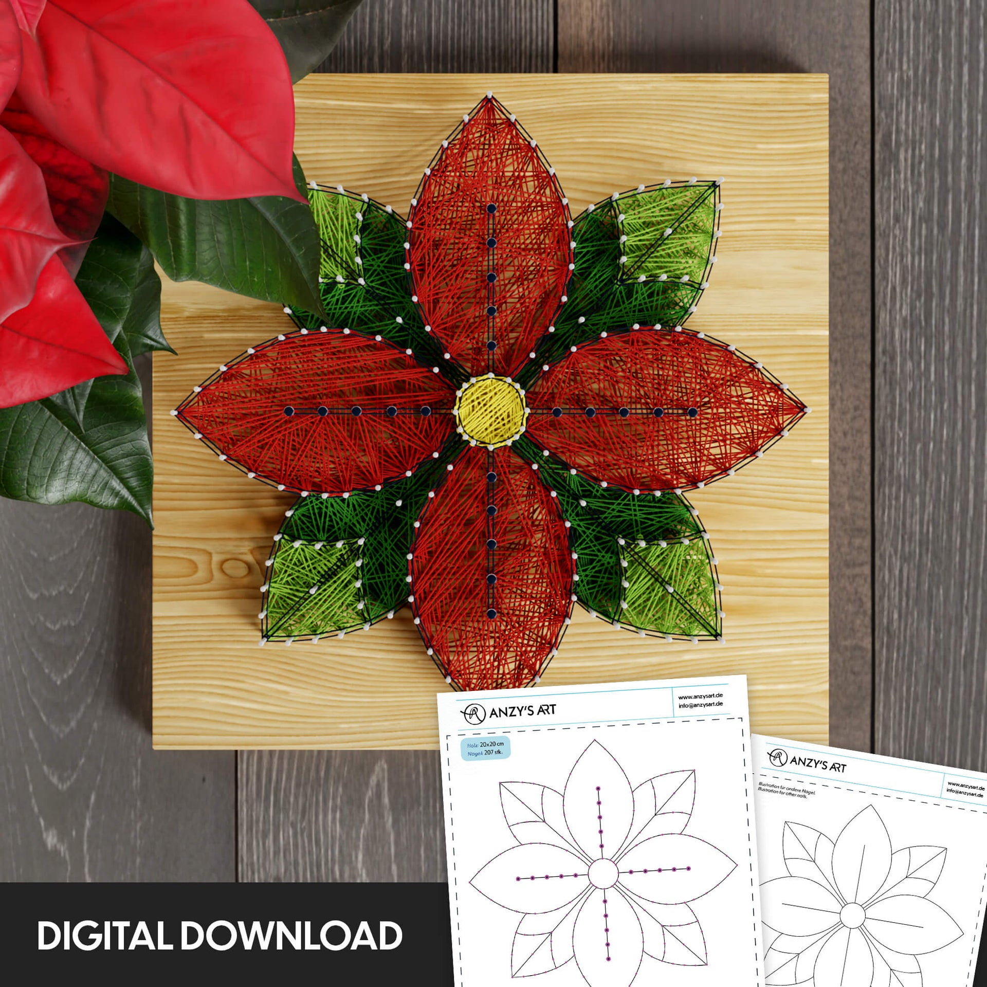 Weihnachtsstern Blume
