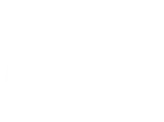 AnzysArt-Logo